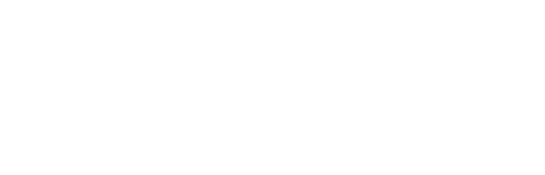 Auto Boltz Logo weiß